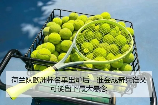 荷兰队欧洲杯名单出炉后，谁会成奇兵谁又可能留下最大悬念